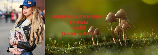 соль ск Осинники