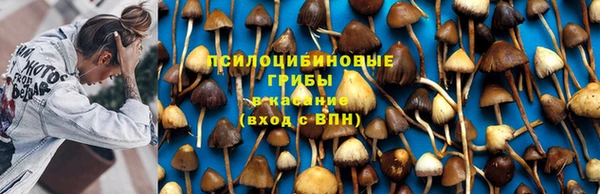 ГАЛЛЮЦИНОГЕННЫЕ ГРИБЫ Алексин